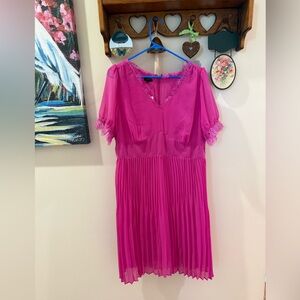 Vibrant Pink Pleated Dress NWT 12